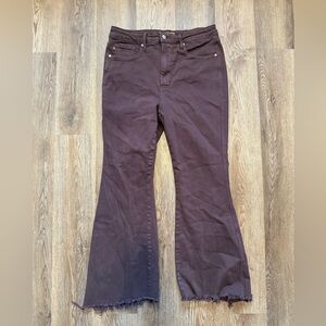 Judy Blue Espresso Flare Jeans